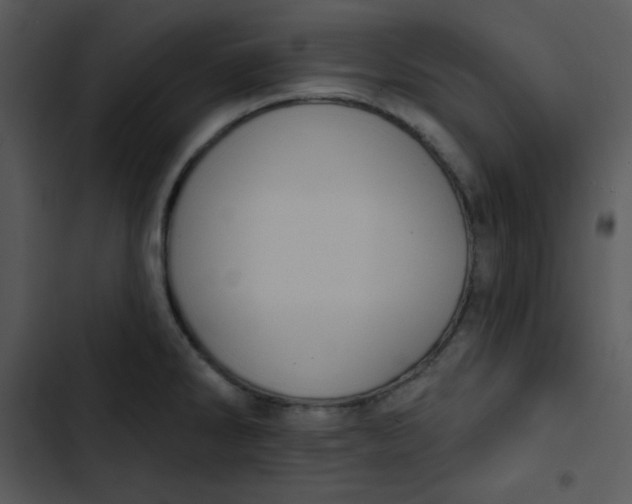 X0000102811286200809081100