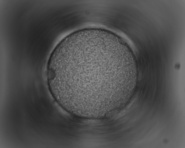 X0000102811287200809081100