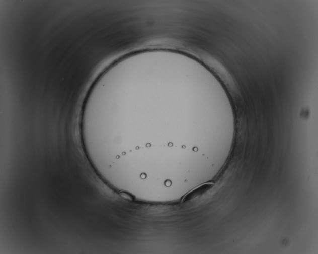 X0000102811288200809081100