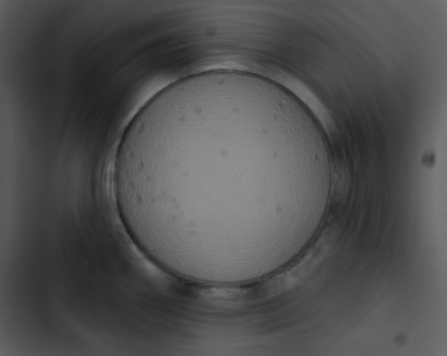 X0000102811290200809081100