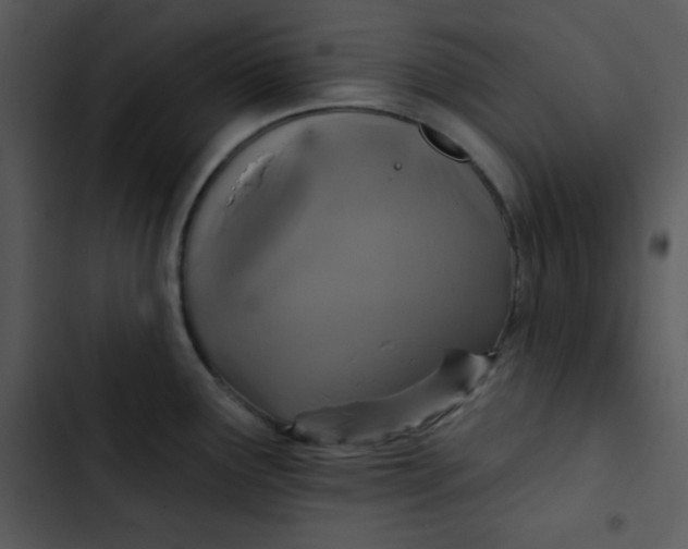 X0000102811291200809081059