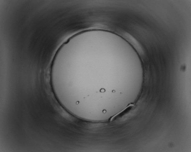 X0000102811292200809081059