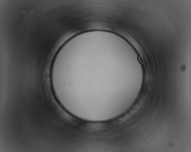 X0000102811293200809081059