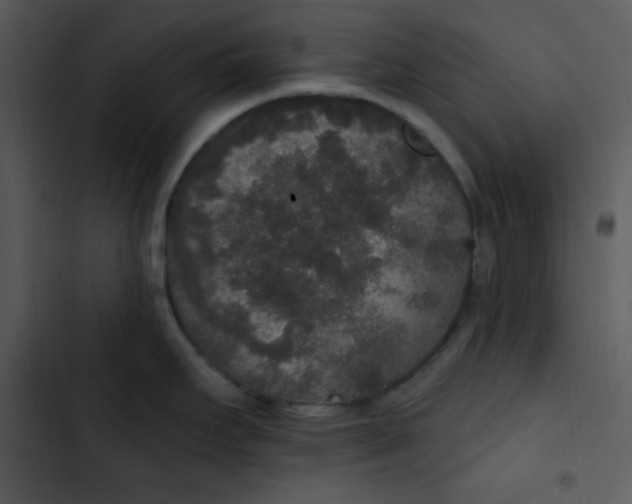 X0000102811295200809081059