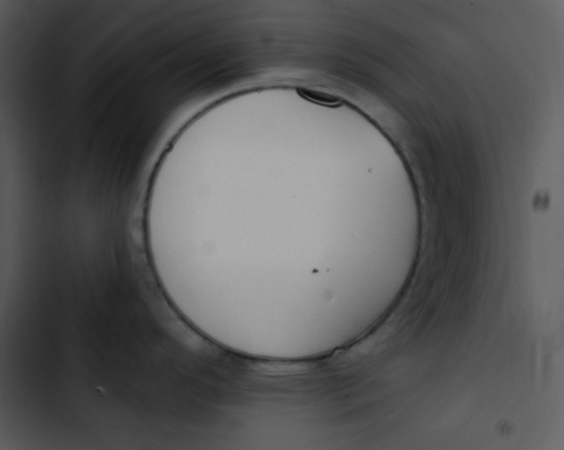 X0000102811296200809081059