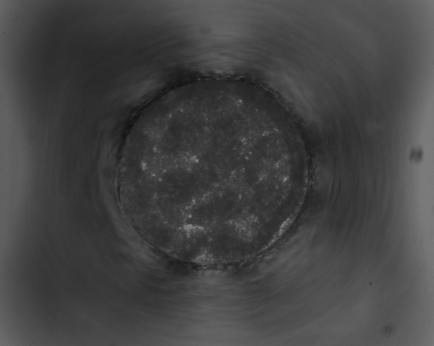 X0000102811297200809081059