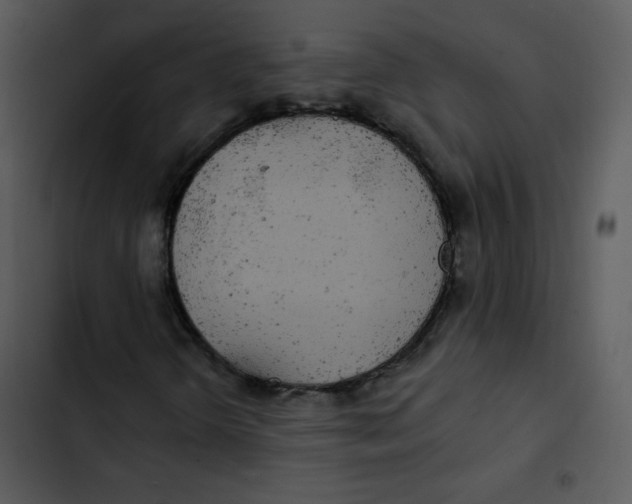 X0000102811298200809081059