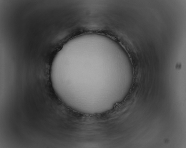 X0000102811301200809081059