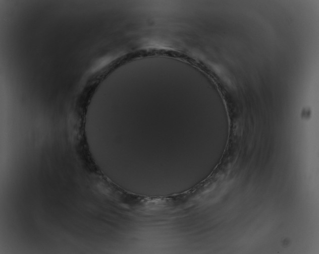 X0000102811303200809081059