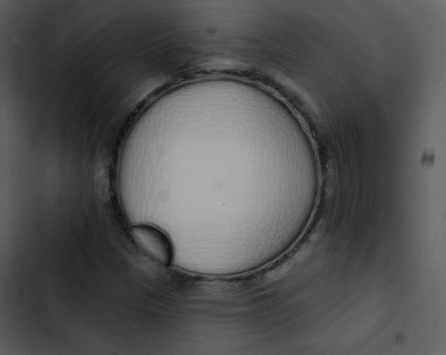 X0000102811305200809081059