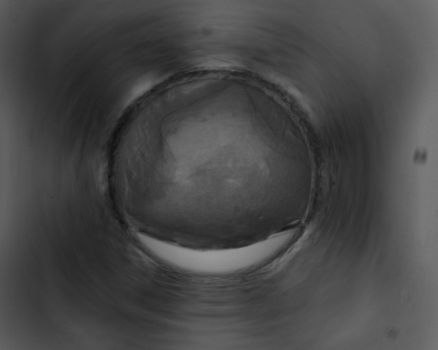 X0000102811306200809081059