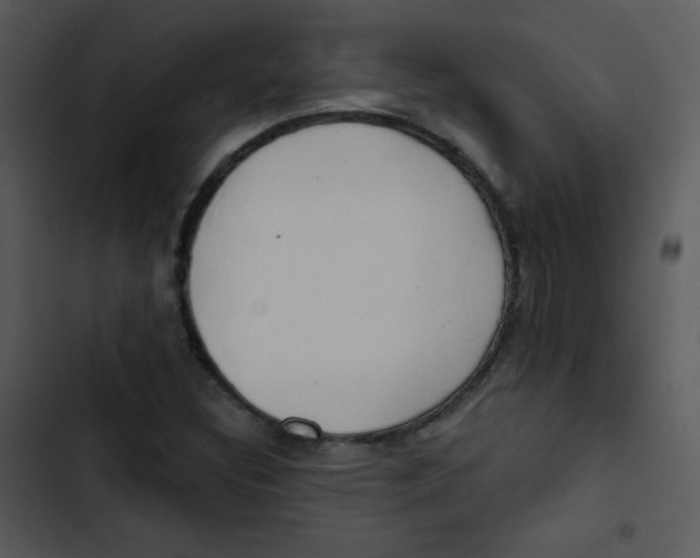 X0000102811308200809081059