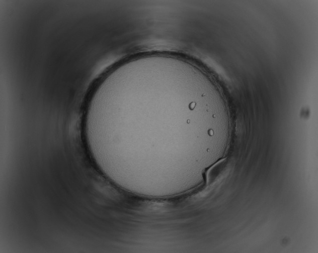 X0000102811309200809081059