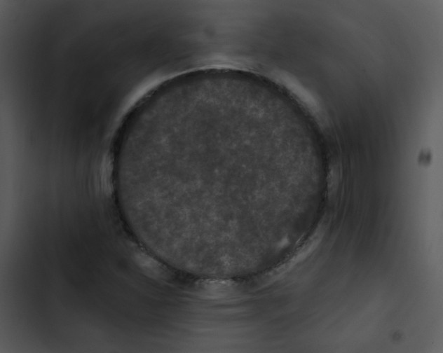 X0000102811310200809081059