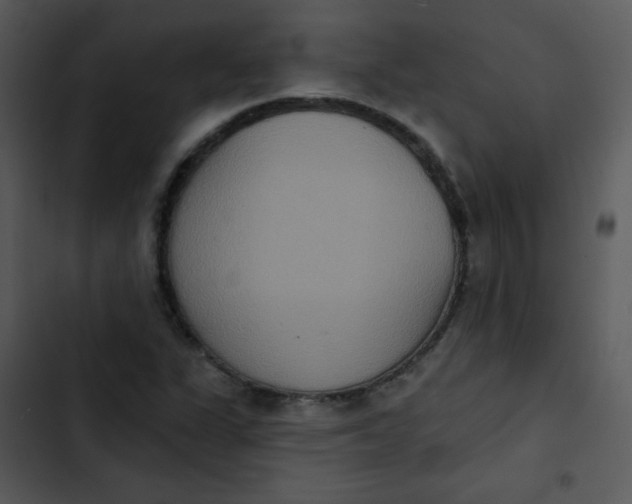 X0000102811311200809081059