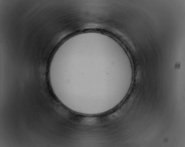 X0000102811313200809081059