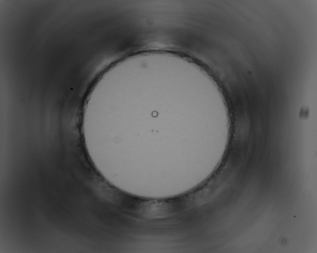 X0000102811314200809081059