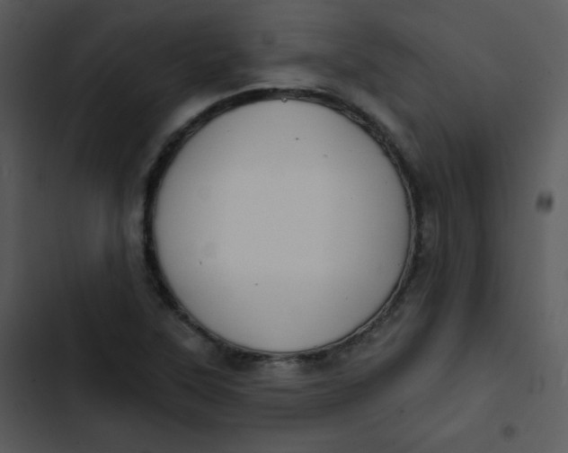 X0000102811315200809081059