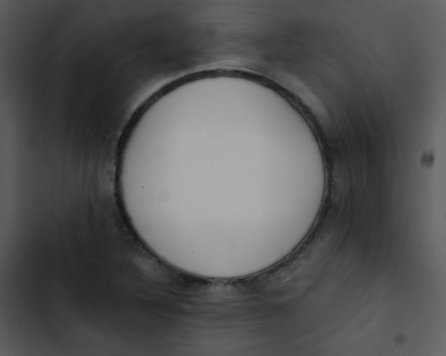 X0000102811316200809081059