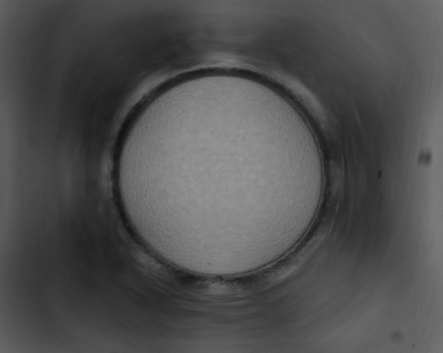 X0000102811318200809081059