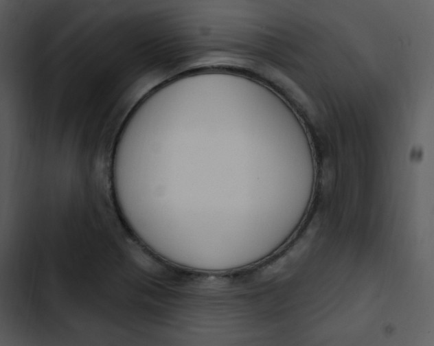 X0000102811321200809081059