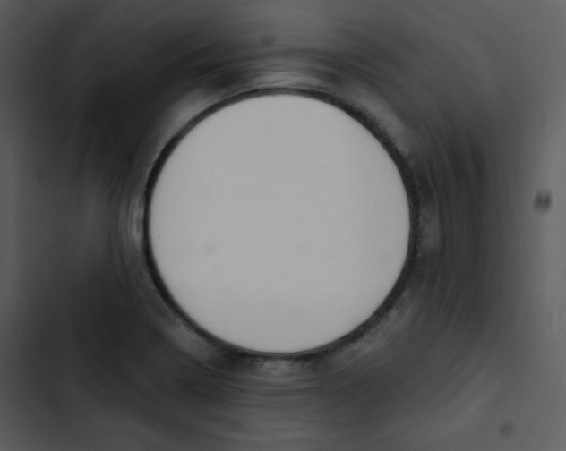 X0000102811322200809081059