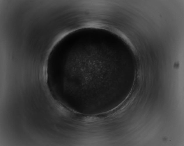 X0000102811323200809081059