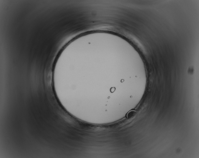 X0000102811324200809081059