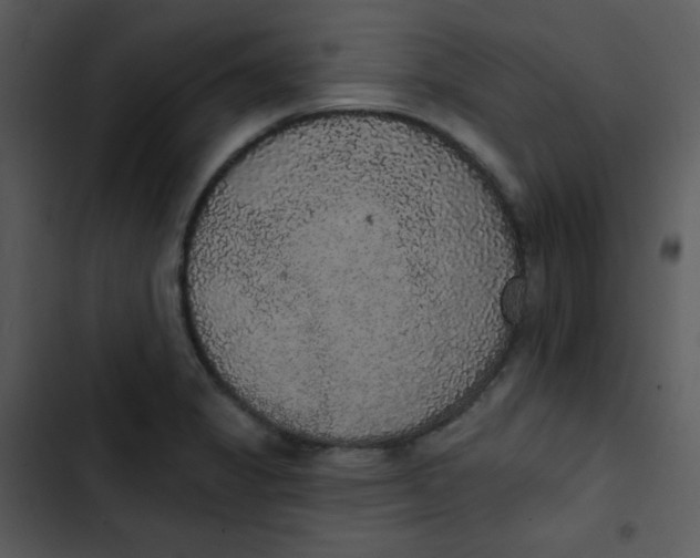 X0000102811325200809081059