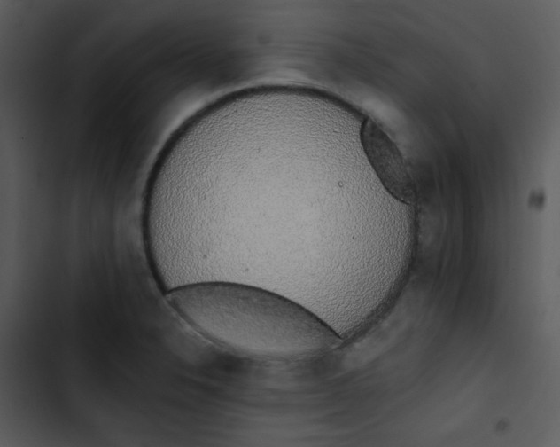 X0000102811326200809081059