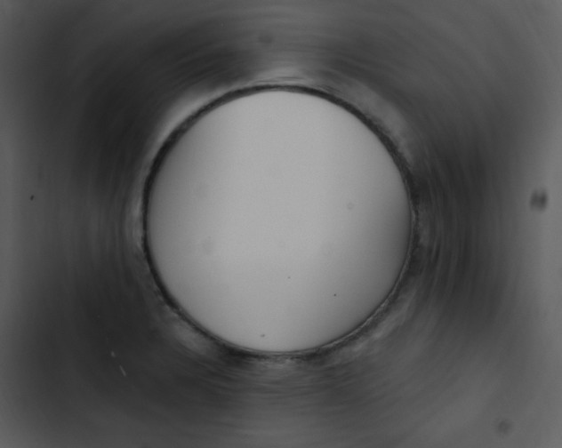 X0000102811328200809081059