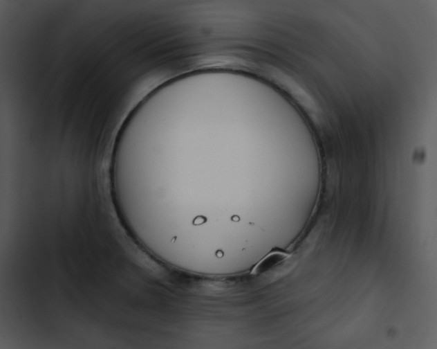 X0000102811330200809081059