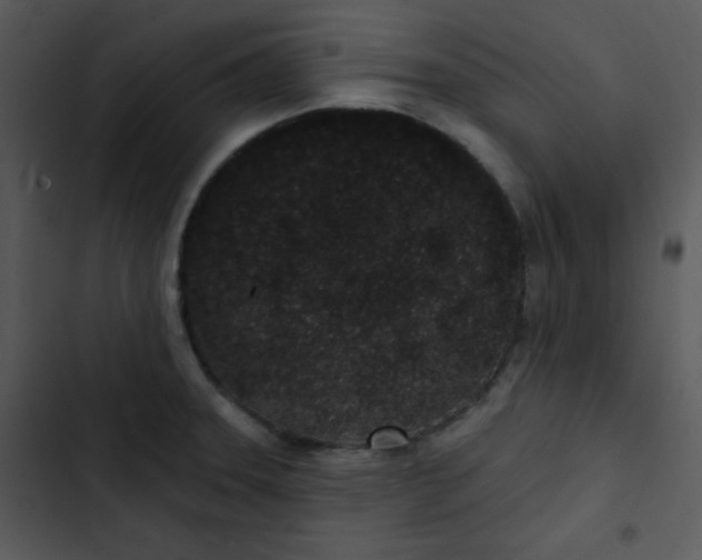 X0000102811331200809081059