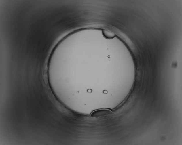 X0000102811332200809081059