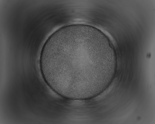 X0000102811333200809081059