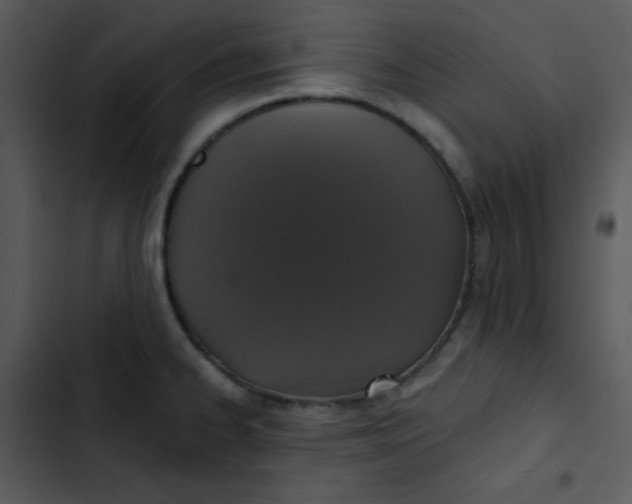 X0000102811334200809081059