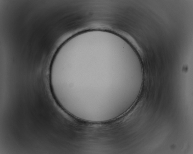 X0000102811335200809081059