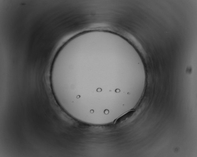 X0000102811336200809081059