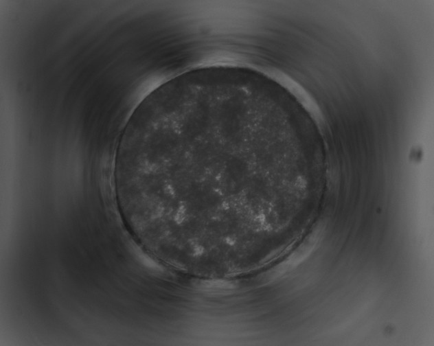 X0000102811337200809081059