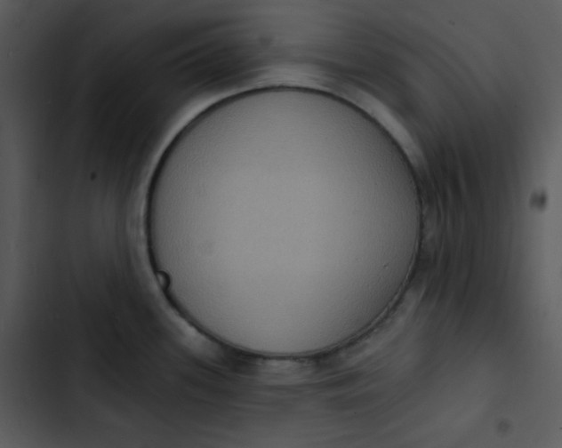 X0000102811339200809081059