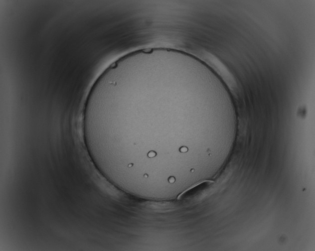 X0000102811340200809081059