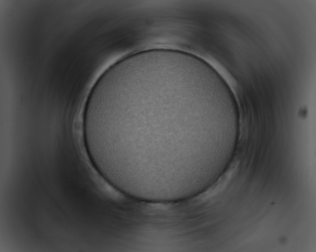 X0000102811341200809081059