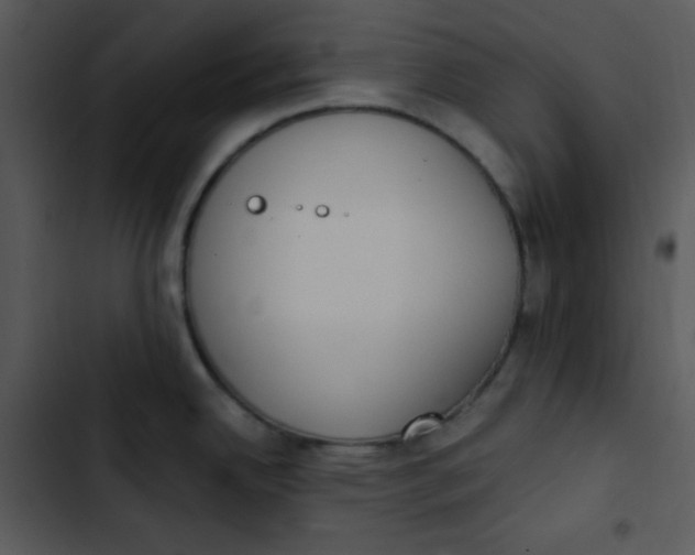 X0000102811342200809081059