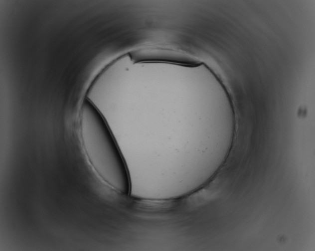 X0000102811344200809081059