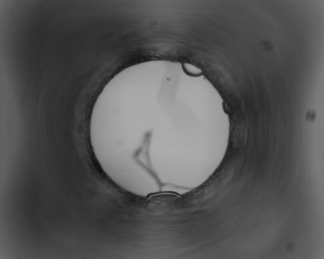 X0000102811345200809081059