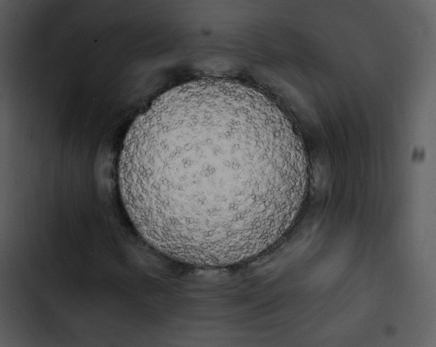 X0000102811346200809081059