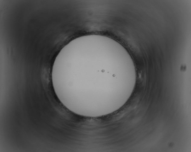 X0000102811348200809081059