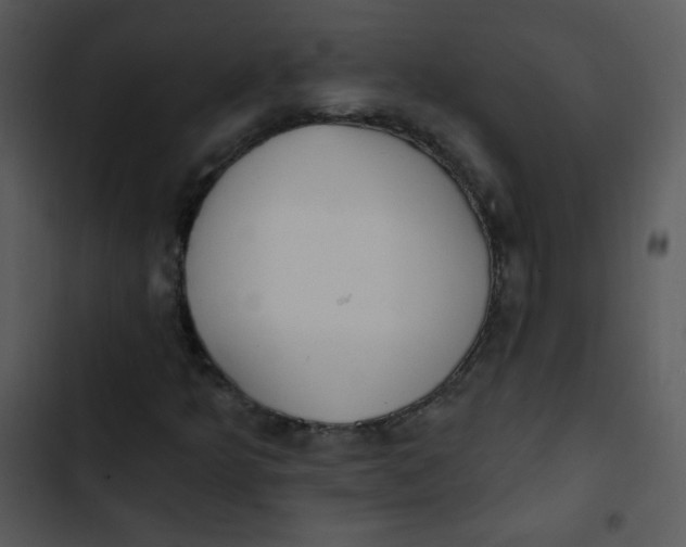 X0000102811349200809081059