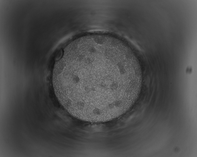 X0000102811351200809081059