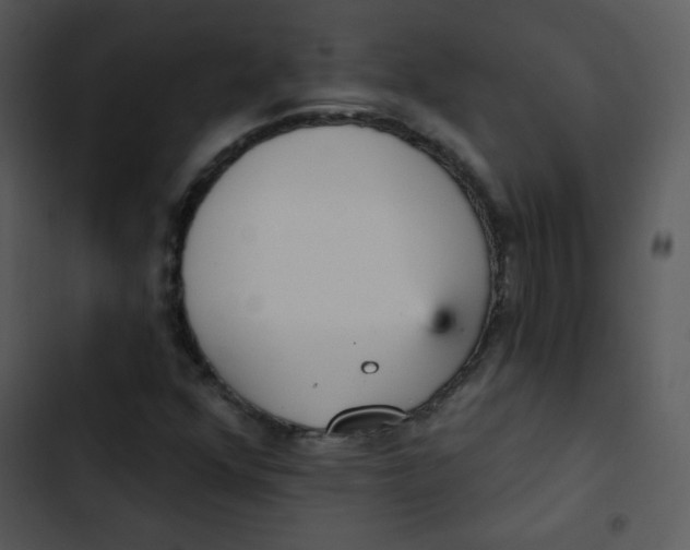 X0000102811352200809081059